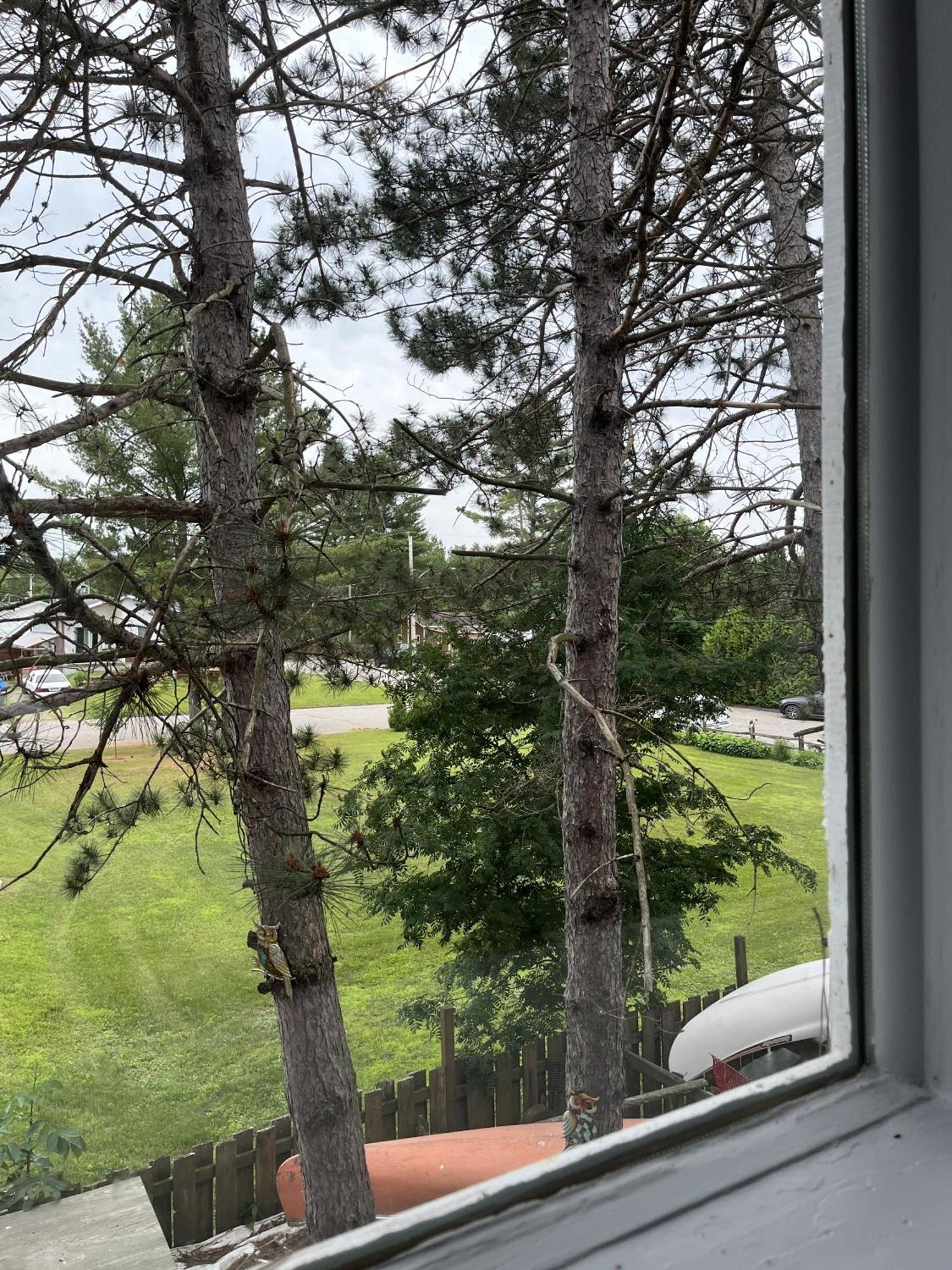 Auberge De Ferme-Neuve Lac-Saint-Paul 외부 사진